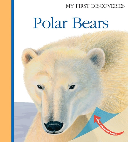 Polar Bears