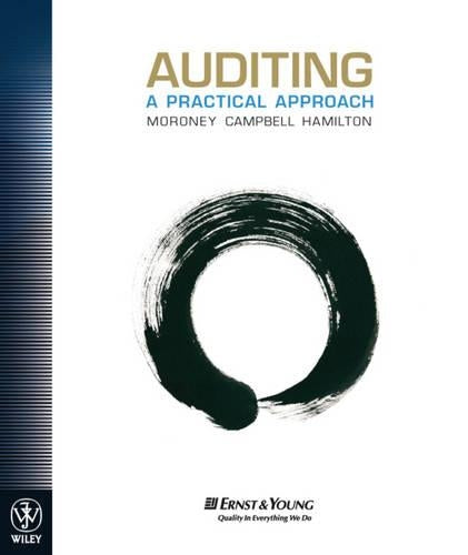 Auditing a Practical Approach
