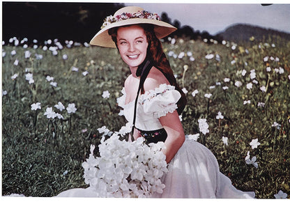 Sissi Trilogie - Juwelen-Edition + Dokumentarfilm "Romy Schneider - Portrait eines Gesichts"
