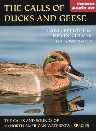 Calls of Duck and Geese