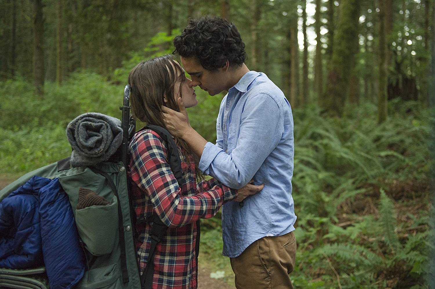 Into the Forest