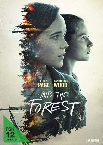Into the Forest