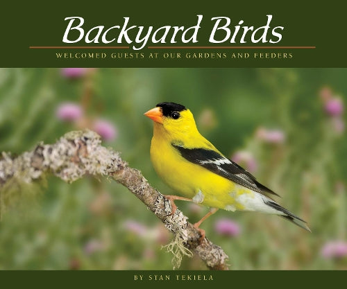 Backyard Birds