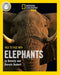Face to Face with Elephants