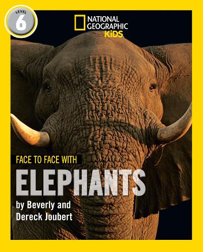 Face to Face with Elephants
