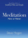 Meditation Now or Never