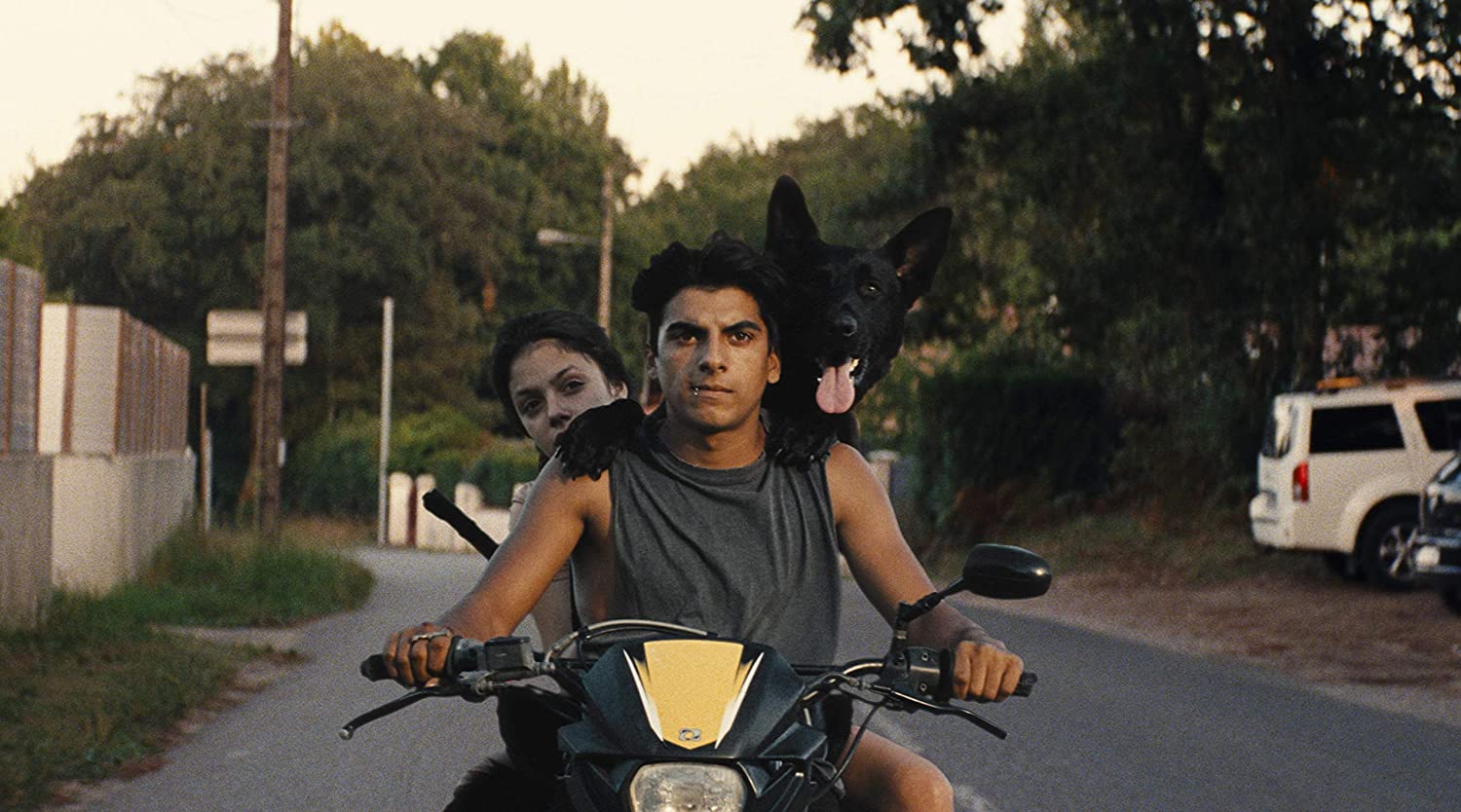Ava
