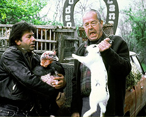 EIN HAUS IN DER TOSCANA - MOVI 1990