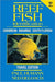Reef Fish Identification -- Travel Edition