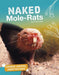 Unique Animal Adaptations Naked Molerats