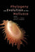 Phylogeny and Evolution of the Mollusca