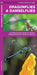 Dragonflies & Damselflies