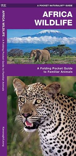 African Wildlife
