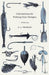 Calculations for Fishing Gear Designs (Fao Fishing Manuals
