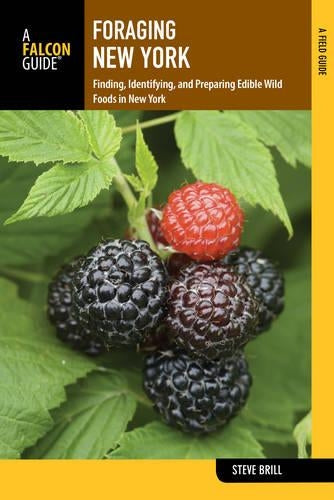 Foraging New York