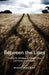 Between the Lines – Healing the Individual & Ancestral Soul with Family Constellation