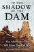 In the Shadow of the Dam, The Aftermath of the Mill River Flood of 1874