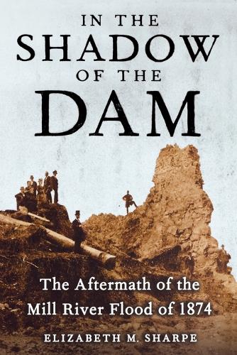 In the Shadow of the Dam, The Aftermath of the Mill River Flood of 1874