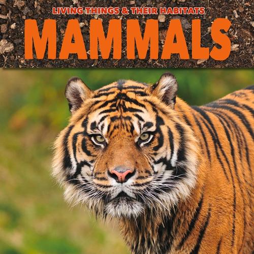 Mammals