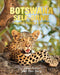 Botswana Self-Drive