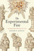 The Experimental Fire