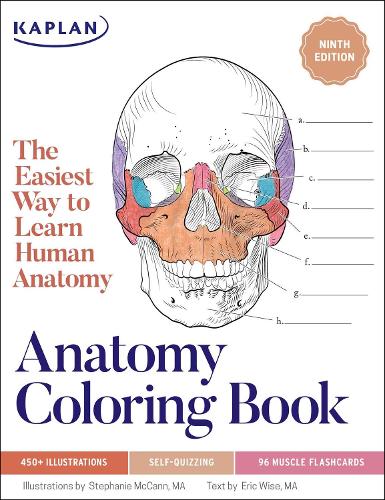 Anatomy Coloring Book with 450+ Realistic Medical Illustrations with Quizzes for Each + 96 Perforated Flashcards of Muscle Origin, Insertion, Action, and Innervation