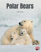 Polar Bears