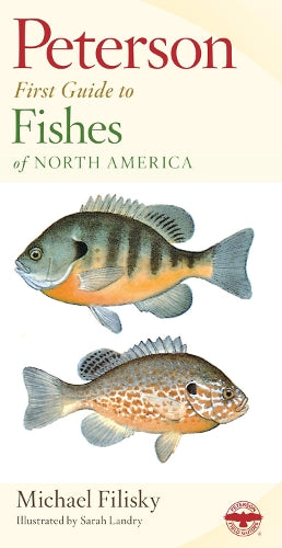 Peterson First Guide To Fishes Of North America