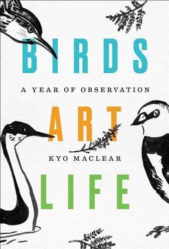 Birds Art Life