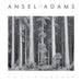 Ansel Adams 2024 Engagement Calendar