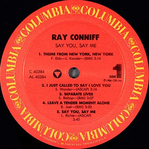 Say you, say me (1986)