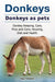 Housing Donkeys. Donkeys as Pets. Donkey Keeping, Care, Pros and Cons