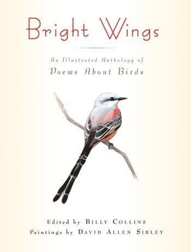 Bright Wings