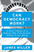 Can Democracy Work?