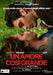 Amore Cosi` Grande (Un)