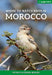 Where to Watch Birds in Morocco
