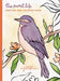 Sweet Life Painting and Coloring Book