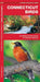 Connecticut Birds