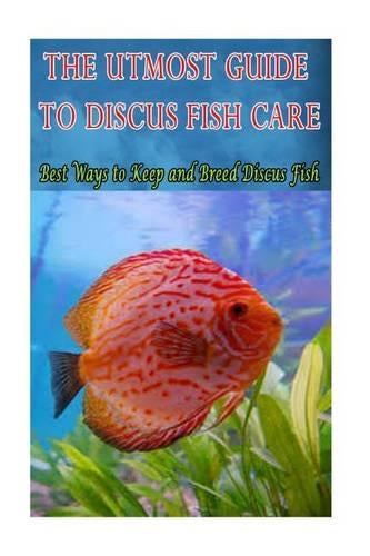 The Utmost Guide to Discus Fish Care