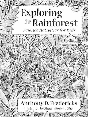 Exploring the Rainforest