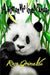 A Woman Who Loves Pandas