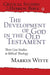 The Development of God in the Old Testament: Three Case Studies in Biblical Theology: 9 (Critical Studies in the Hebrew Bible