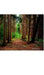 Nature grid style notebook $ir Michael NYC Limited edition