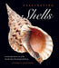 Fascinating Shells