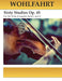 Wohlfahrt Sixty Studies For The Violin Op. 45