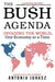The Bush Agenda