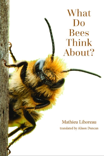 What Do Bees Think About? (The World of Animals