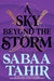 A Sky Beyond the Storm