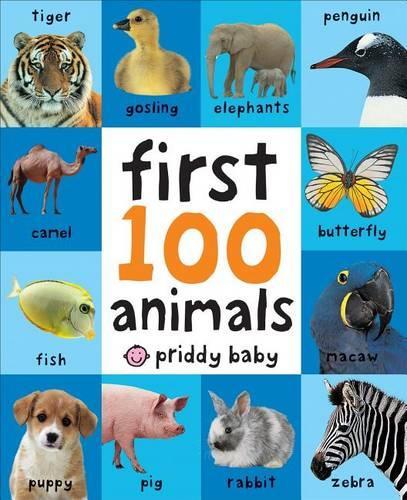 First 100 Big Board: Animals