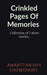 Crinkled Pages of Memories